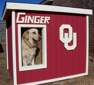 Ginger - Oklahoma